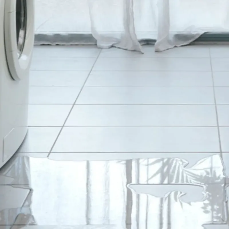 Appliance Leak Cleanup in La Crosse County, WI
