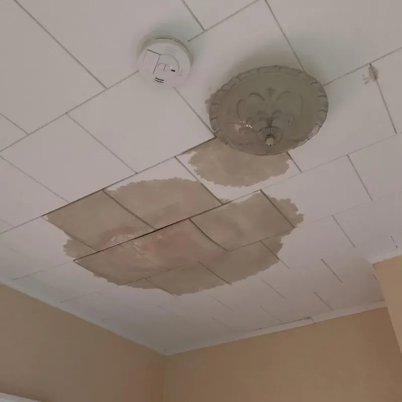 Ceiling Water Damage Repair in La Crosse County, WI
