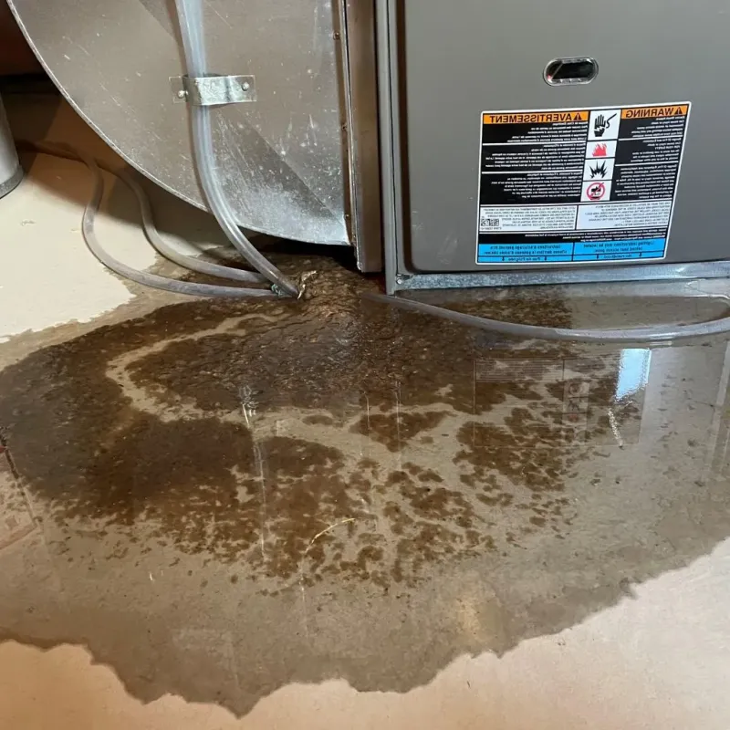 Pipe Burst and Leak Restoration in La Crosse County, WI