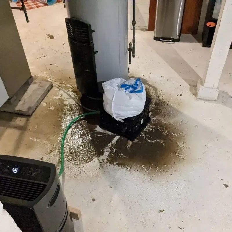 Sewage Backup Cleanup Service in La Crosse County, WI